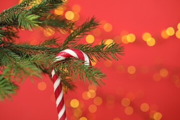 Candy cane on Christmas tree against red background with blurred lights, closeup. Space for text