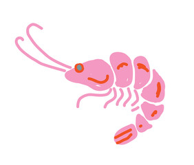 Shrimp vector illustration, hand drawn imperfect cartoon sea animal in naive style