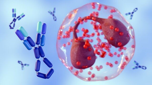 A 3d rendering of biological illustration of a large white blood cell or Eosinophil. Surrounding the cell are many IgE Antibodies. A mechanism in allergic disease and anti-parasitic defense.