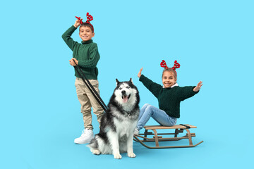 Happy little children in reindeer horns with cute Husky dog and sledge on blue background