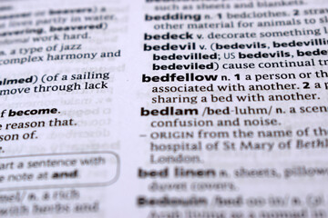 Obraz premium English Dictionary Page Close Up With the Word Of -bedfellow