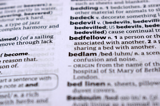 English Dictionary Page Close Up With the Word Of -bedfellow