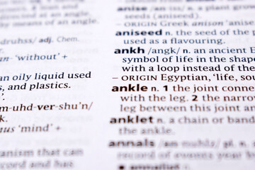 Fototapeta premium Close Up Of English Dictionary Page With Word - ankle