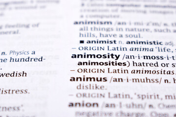Fototapeta premium Close Up Of English Dictionary Page With Word - animpsity