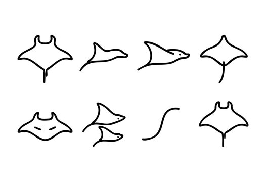 A set of stylized line art illustrations of manta rays in various poses and perspectives. The simple, bold outlines create a clean and modern aesthetic.