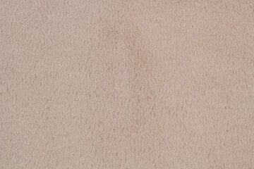 Obraz premium mink fur, background texture in your project