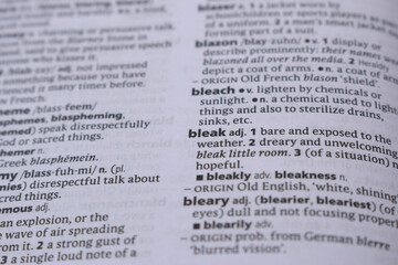 Obraz premium Close Up Of English Dictionary Page With Word - bleak