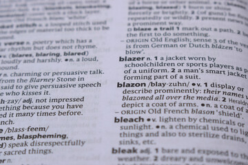 Obraz premium Close Up Of English Dictionary Page With Word - blazon
