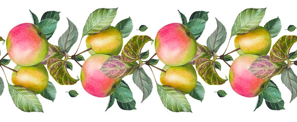 Seamless border with ripe pink yellow apples and leaves. Watercolor illustration.