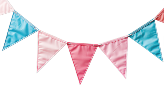 Festive Pink and Blue Triangular Flag Bunting