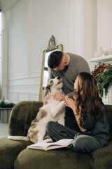 Couple petting dog on sofa during christmas holidays