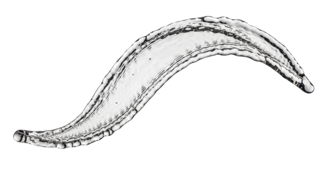 Blue water splash a fluid stream of water in a wavy shape