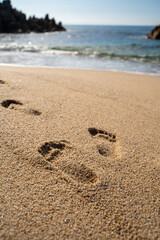 Footprints on the Sandy Beach