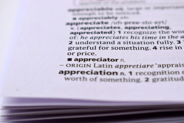 English Definition Dictionary Page Close Up Of Printed Word Of -appreciator