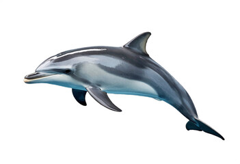 Fototapeta premium Sleek Striped Dolphin in Mid-Swim with Visible Flipper and Tail