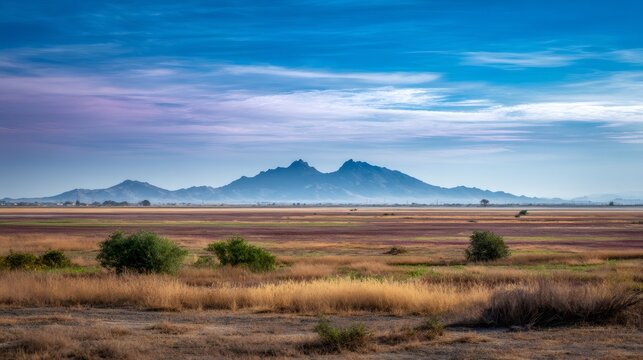 Sutter Buttes mountains rising above vibrant agricultural fields and a wide valley under a dynamic blue sky in California