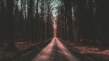 Fototapeta premium Dark forest path disappearing into the distance, framed by tall, bare trees creating a mysterious, solitary, and cold atmosphere