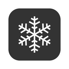 Snowflake icon isolated on transparent background