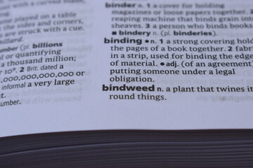 Fototapeta premium English Dictionary Page Close Up With the Word Of -bindweed