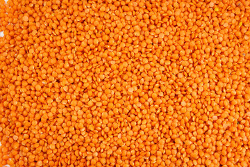Red lentil background. Beautiful red lentils.