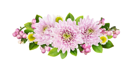 Pink chrysanthemum flowers an snowberries in a floral arrangement isolated on white or transparent background
