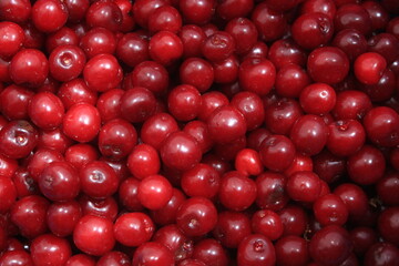 Juicy Summer Harvest: Full Frame Cherry Background