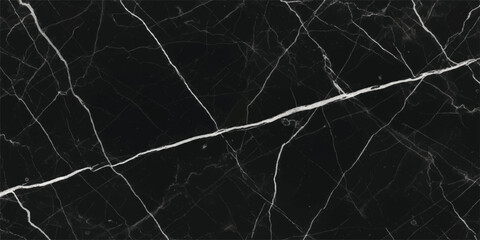 Black and white tree bark texture pattern with a rough, dark, grunge, and natural vintage surface design