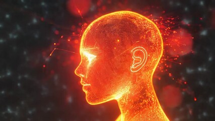 Human head contour processing artificial intelligence and digital data - Powered by Adobe