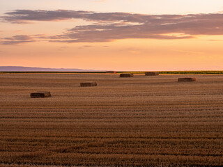 Obraz premium Harvested field with hay bales at sunset