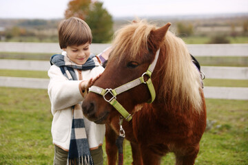 Obraz premium Equine assisted therapy. Little boy stroking beautiful pony in countryside. Lovely domesticated pet