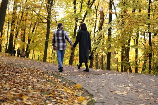Cute couple holding hands and walking in autumn park, back view - Powered by Adobe