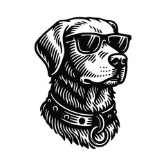 Cool dog wearing sunglasses and collar, staring intensely at viewer.