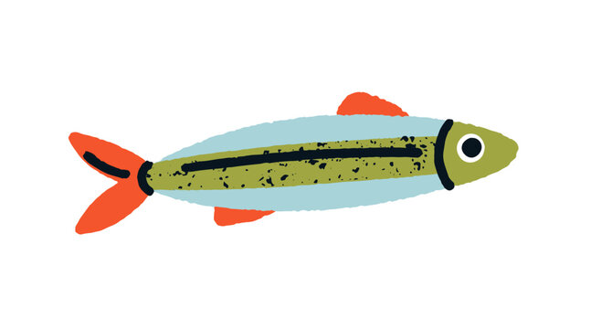 Sardine fish, sea and ocean water animal in retro doodle style. Mediterranean and Atlantic food, seafood. Healthy marine nutrition. Flat vector illustration isolated on white background