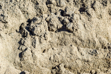 Close-up of disturbed sand surface showing tool marks and uneven texture from recent groundwork