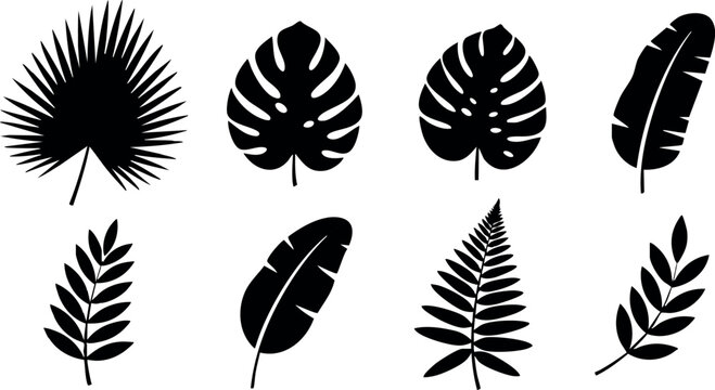 Tropical leaves silhouette set with palm and monstera leaves vector design elements for decoration and nature themes