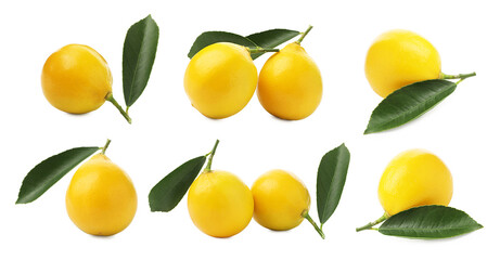 Set of fresh lemons on white background. Citrus fruit