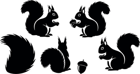 Fototapeta premium Squirrel silhouette vector set with acorn and tail isolated on white background for nature and wildlife design elements