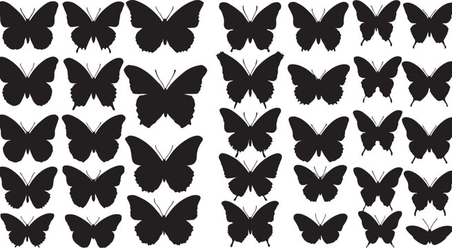Scattered Black Silhouettes of Various Butterfly Species insect moth