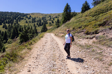 A lone hiker treks along a rugged mountain path lined with pine trees.