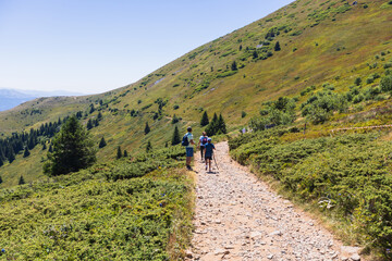 Obraz premium Mountain hiking trail with backpackers on sunny hillside path