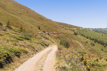 Scenic dirt trail winding through rolling green hills under blue sky