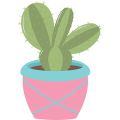 Cute Potted Cactus Plant with Green Spiky Leaves in a Pink and Blue Planter
