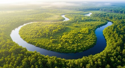 Lush green landscape with winding river flowing through dense forests during early morning light
