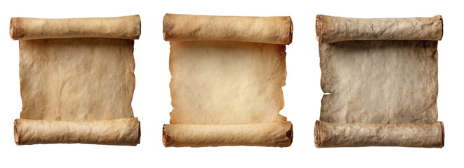 Three aged, rolled parchment scrolls, different shades, isolated