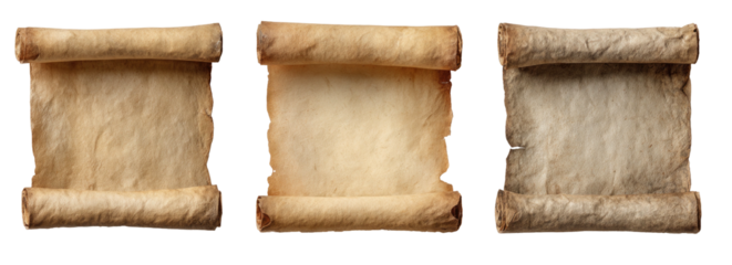 Three aged, rolled parchment scrolls, different shades, isolated