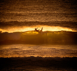 surfer on a wave at sunset on the beach