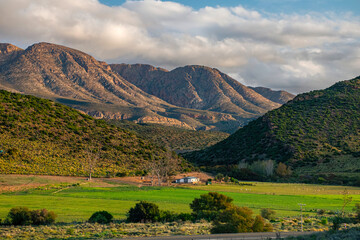 Pastoral scene in the Klein Karoo below the Kammanaassie mountains.