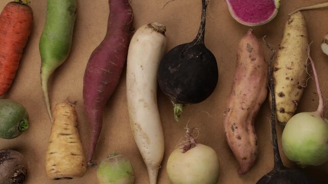 winter roots vegetables background top view zoom wooden surface