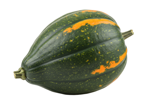 Isolated oblong green gourd with orange stripes, Cucurbita pepo variety acorn squash