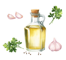 Hand-drawn Illustration of a glass bottle of olive oil and fresh garlic cloves, parsley, peppercorns